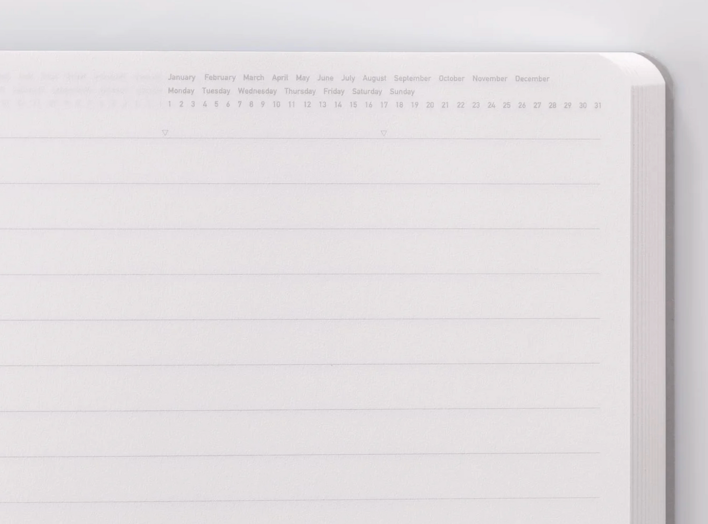 365 Days Ruled Notebook - Blue / A5