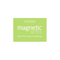 Small Magnetic Notes - Mint