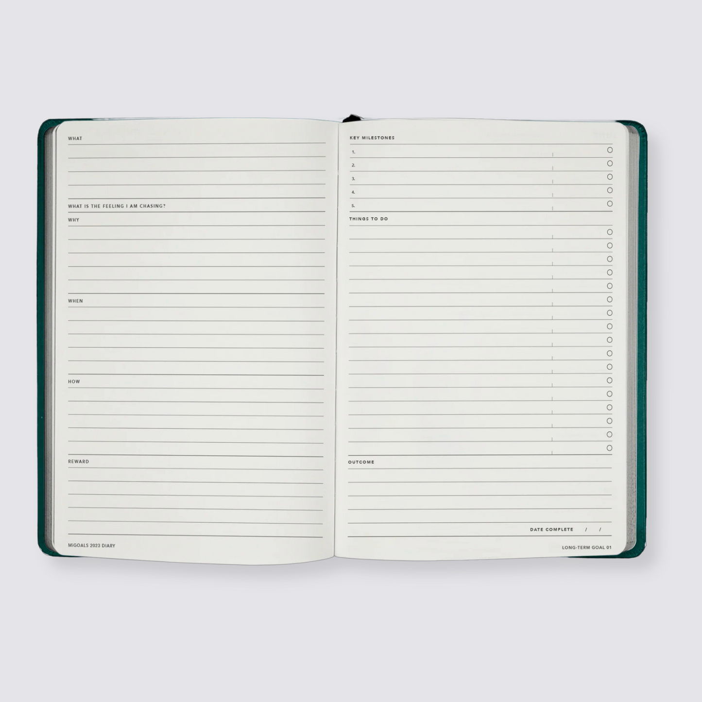 weekly diary 2024