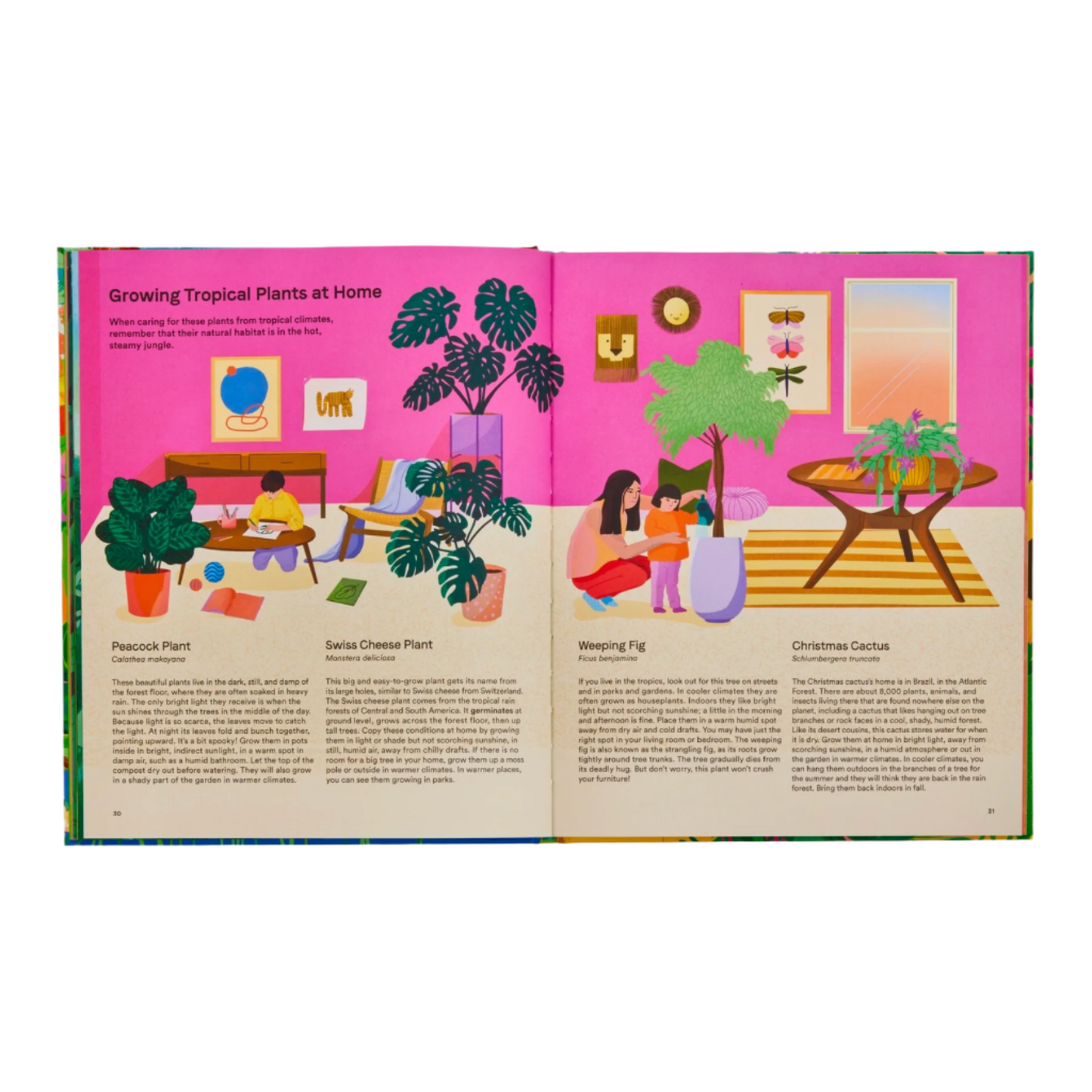 book on plants for kids