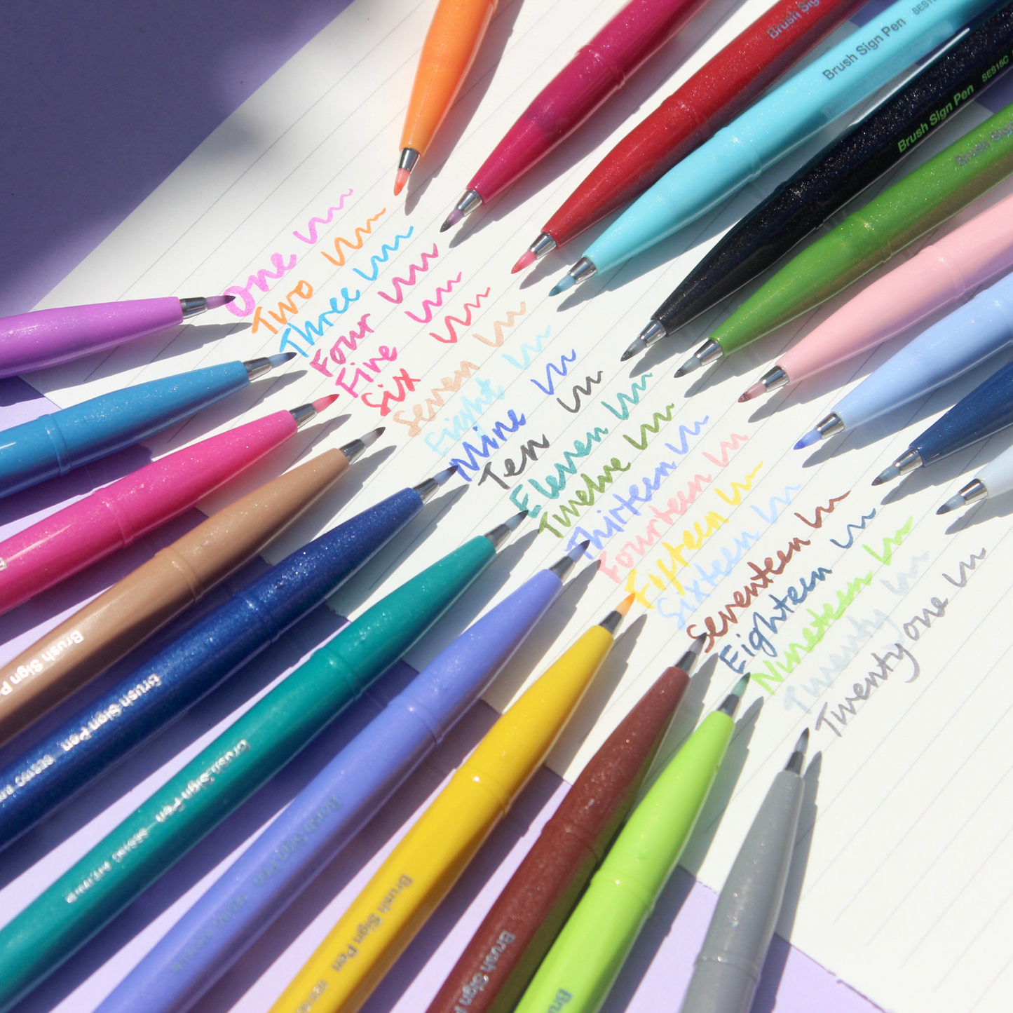 Artist Brush SIgn Pen