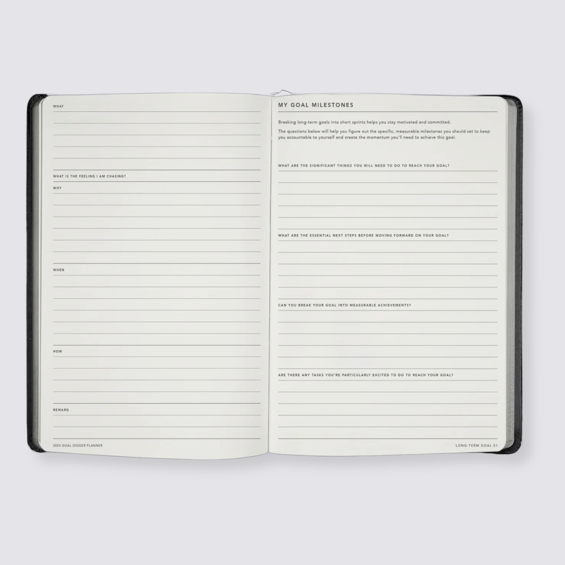 2024 Goal Digger Diary - Classic / Teal
