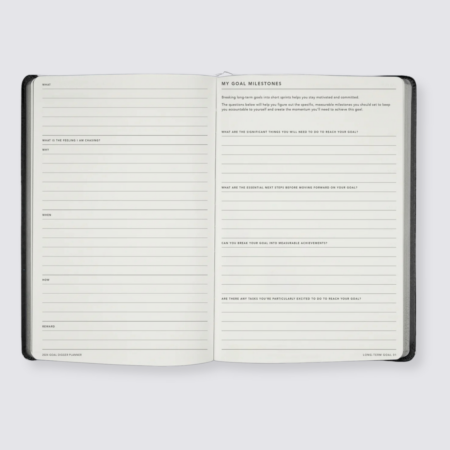2024 weekly goal digger planner diary