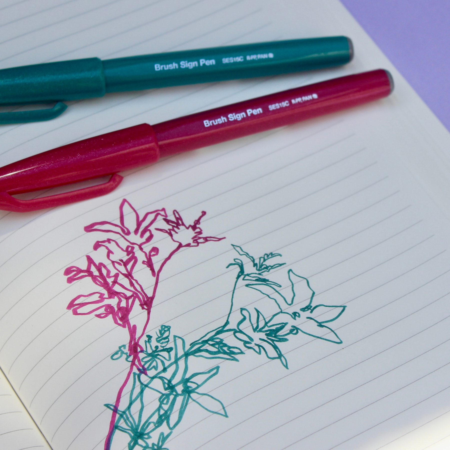 Brush Sign Pen - Set of 10 Primary