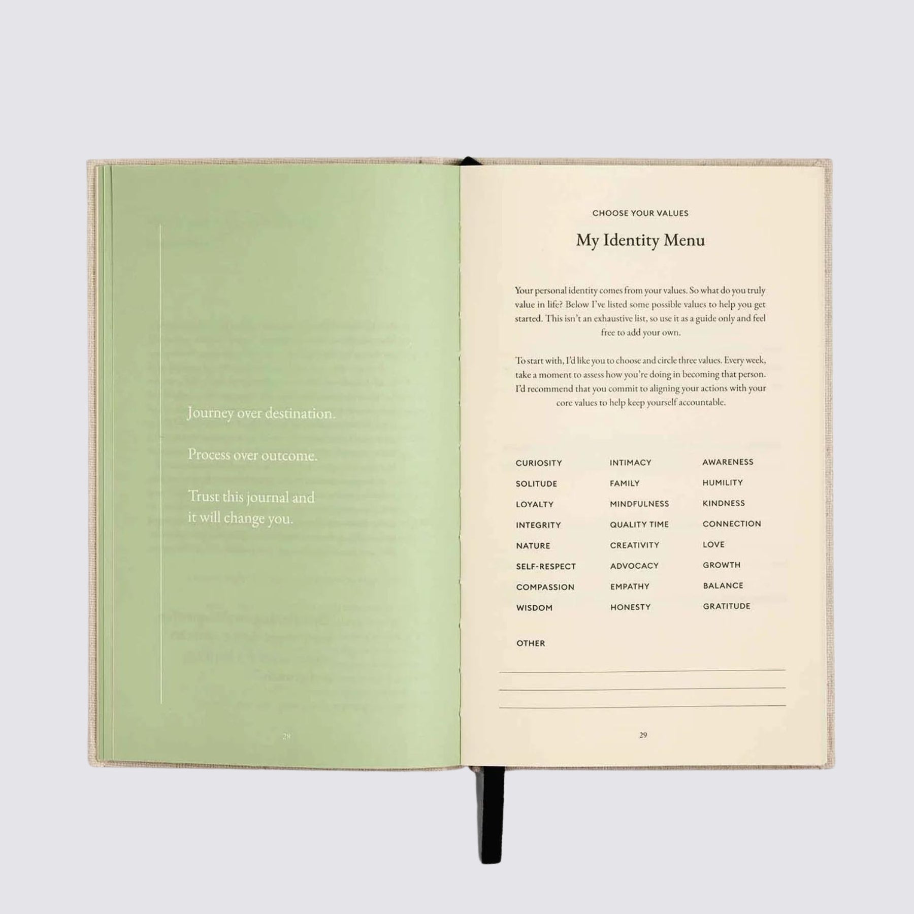 The Three Question Journal - Green