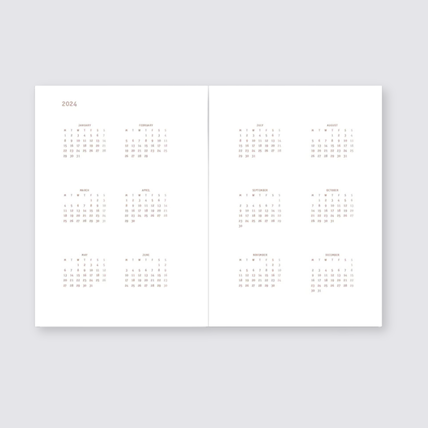Everyday 2024 Daily Calendar - Biscuit