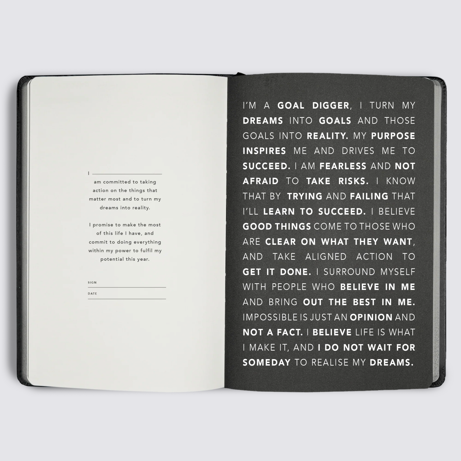 2024 Goal Digger Diary - Bold / Lilac