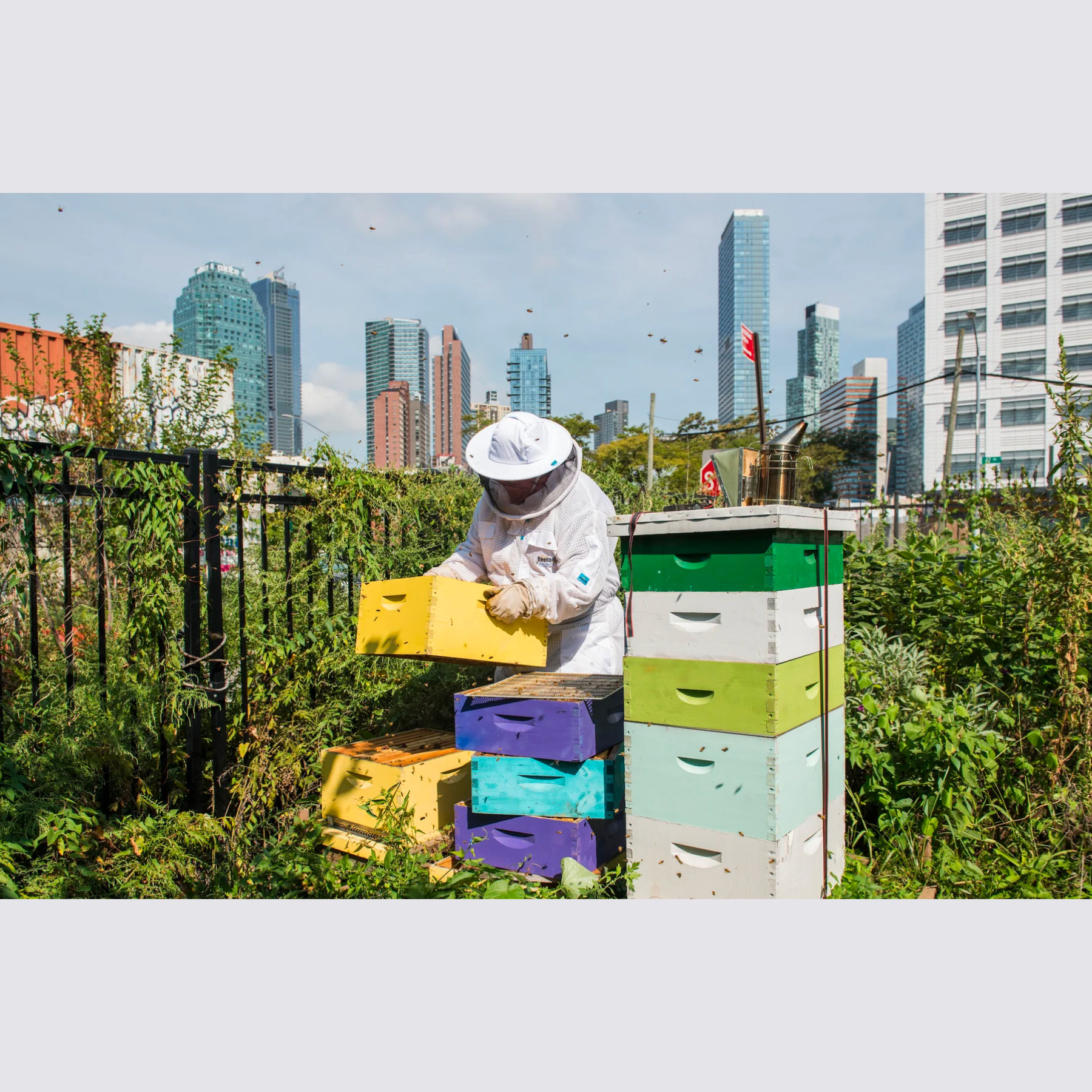 Urban Farmers