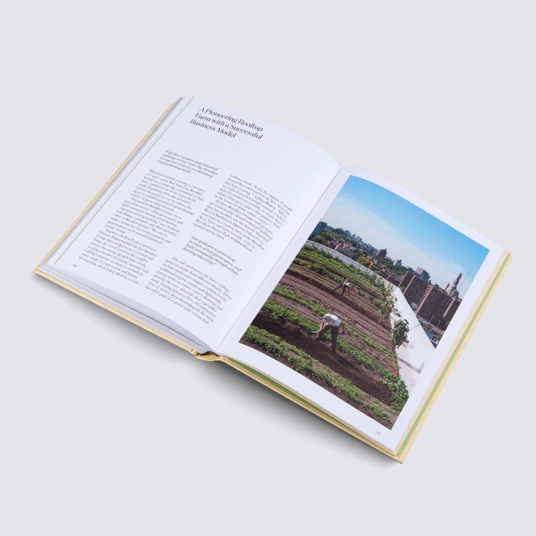 Urban Farmers
