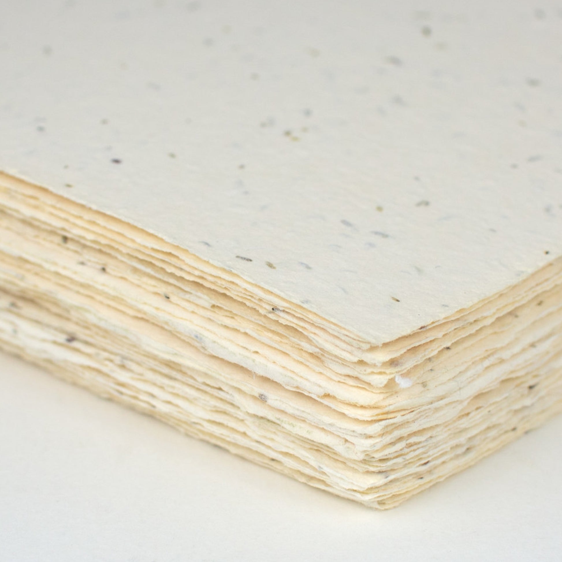 Handmade Paper Placecards - Set of 10 / Wildflower Seed