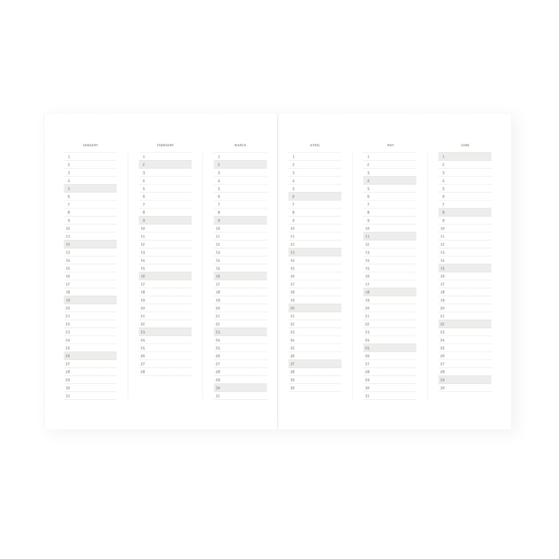 2025 Klasyk Weekly Diary - Earth