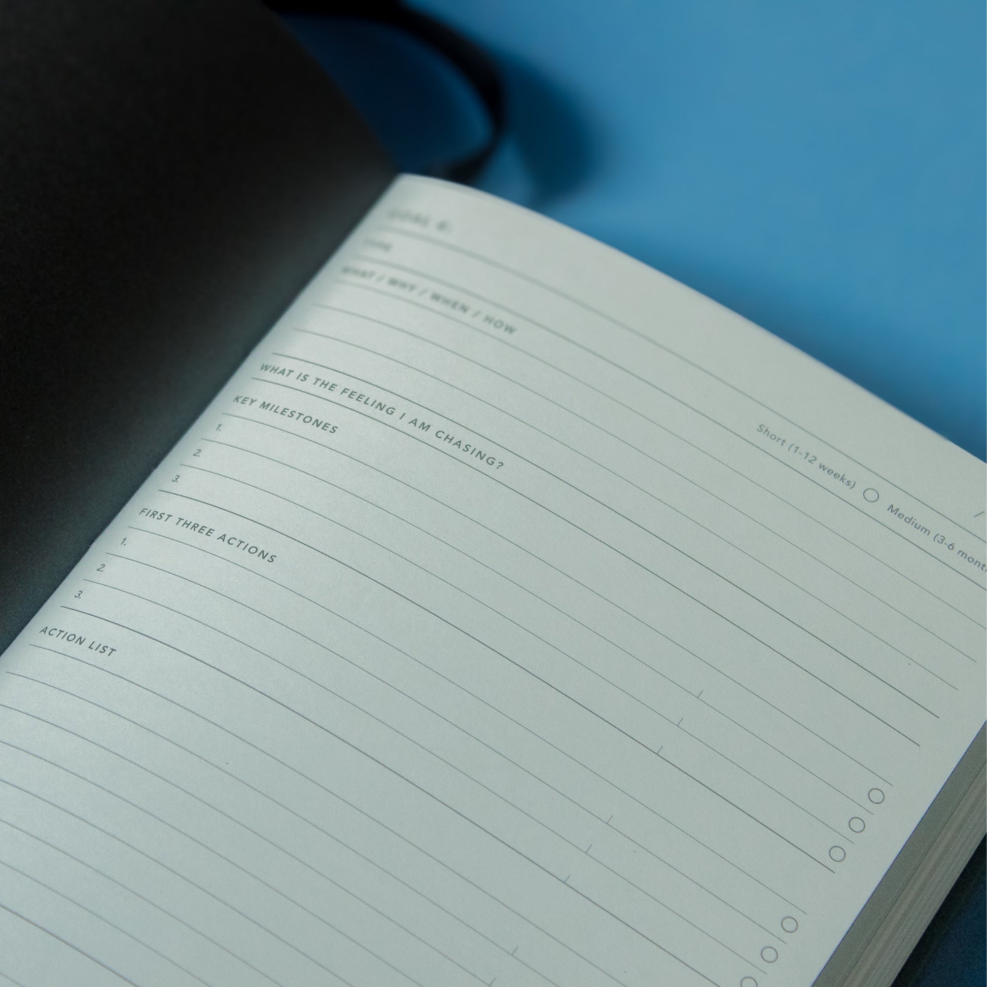 2025 Goal Digger Diary - Bold / Lemon