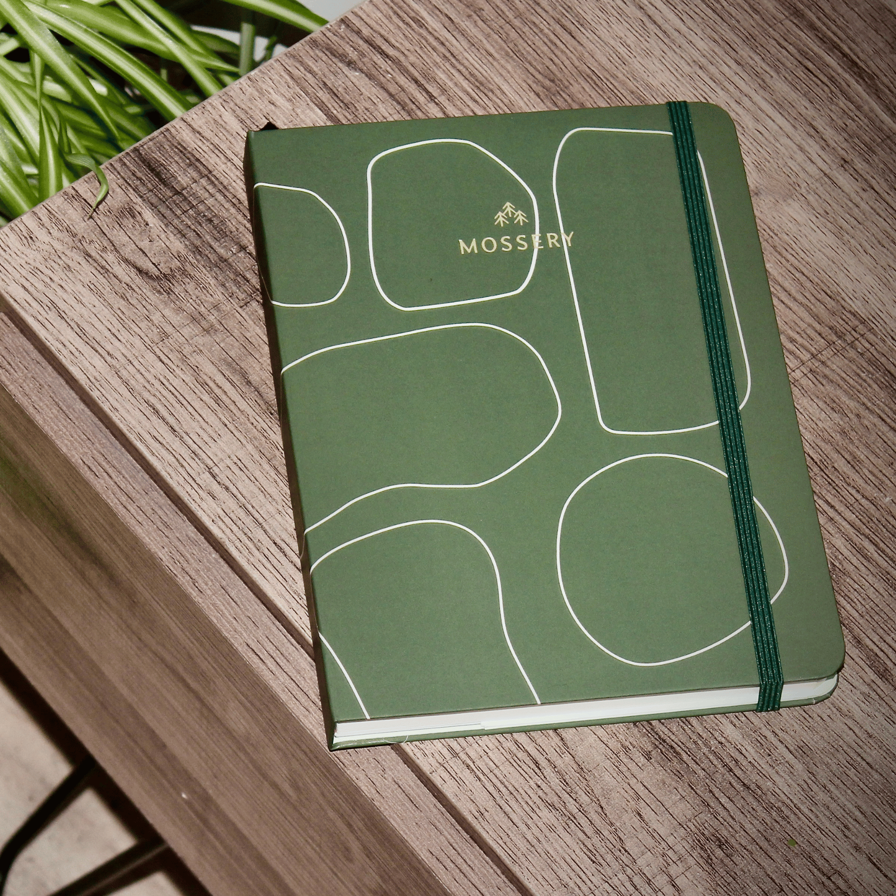 2024 Refillable Diary - Jade