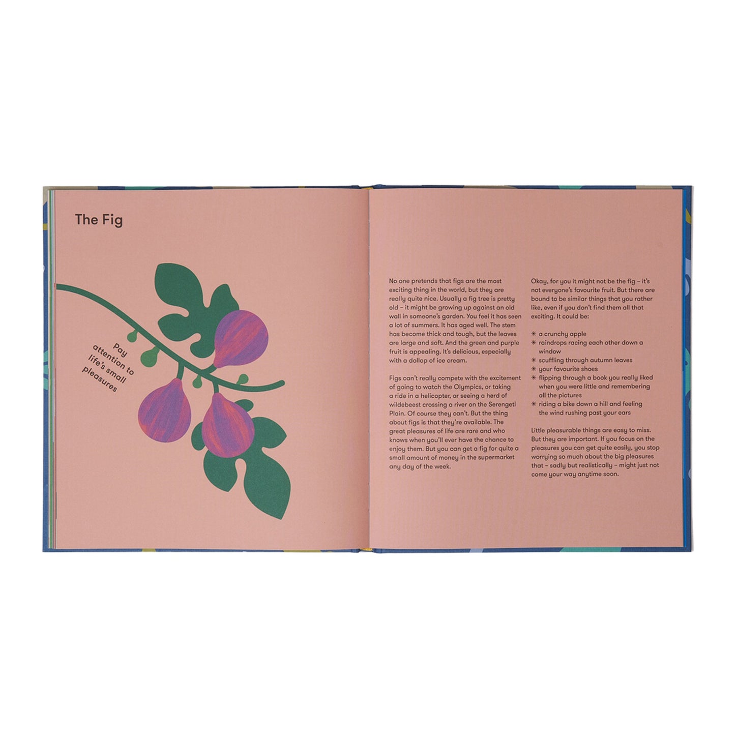 Childrens Book About Nature
