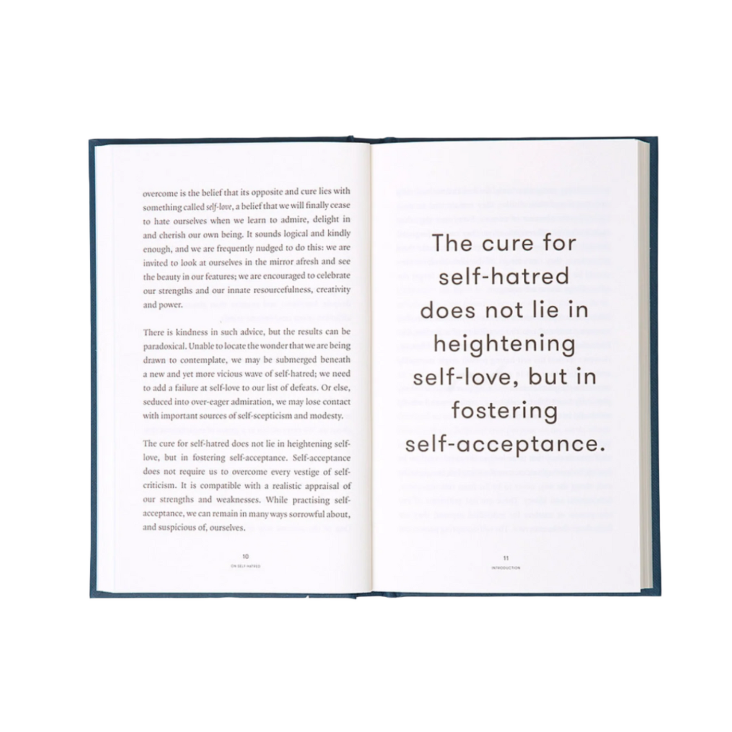 Self Hatred Book