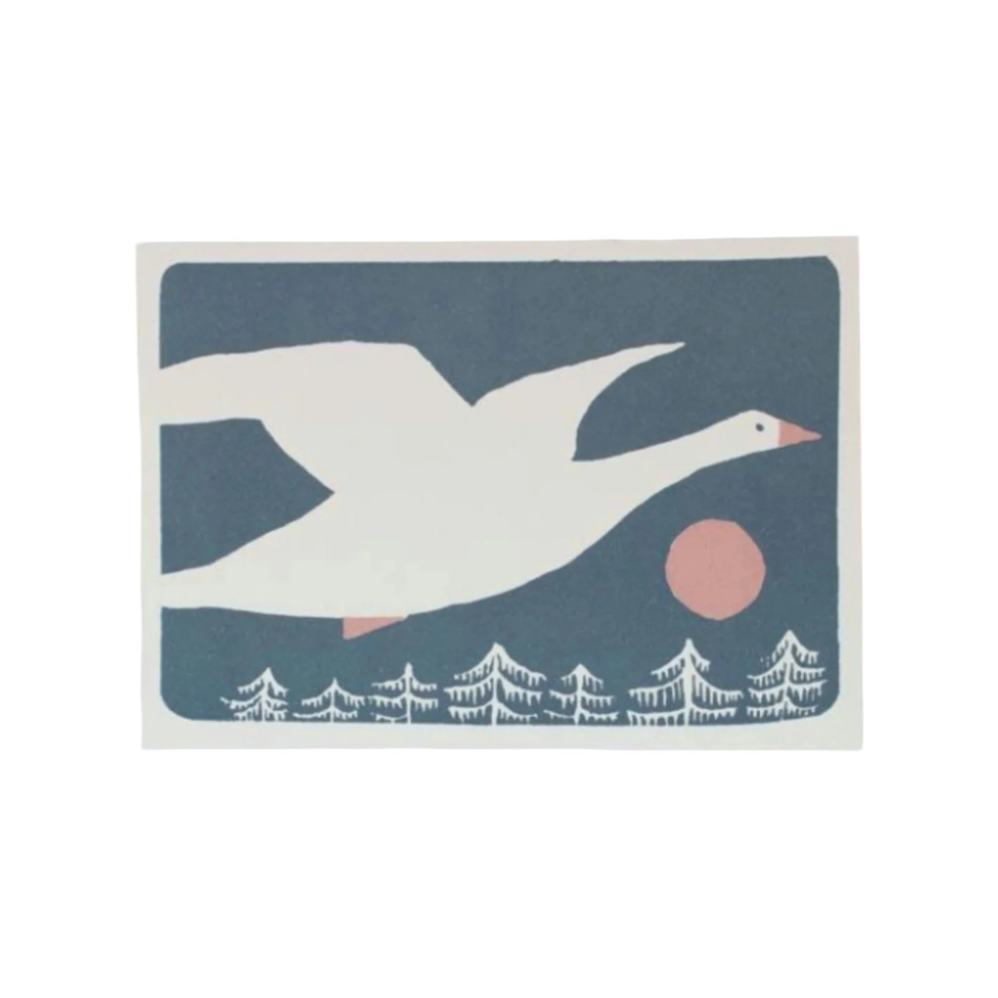 Snow Goose