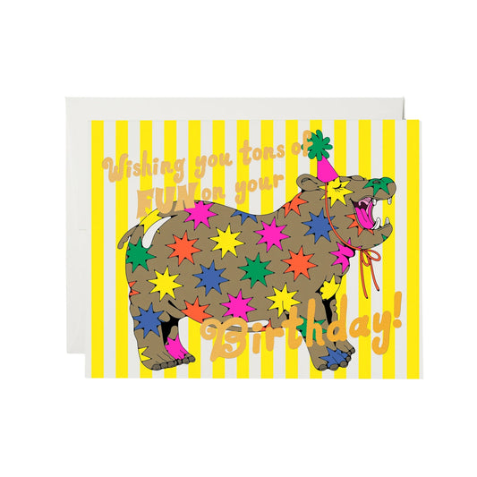 Star Hippos Birthday Card