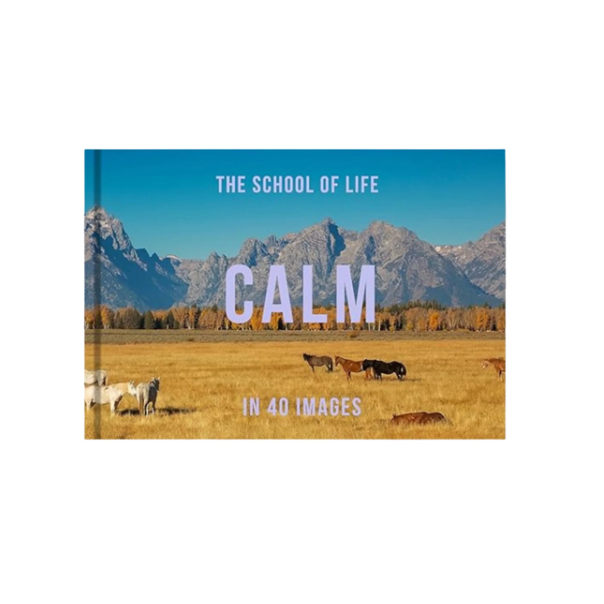 Calm In 40 Images