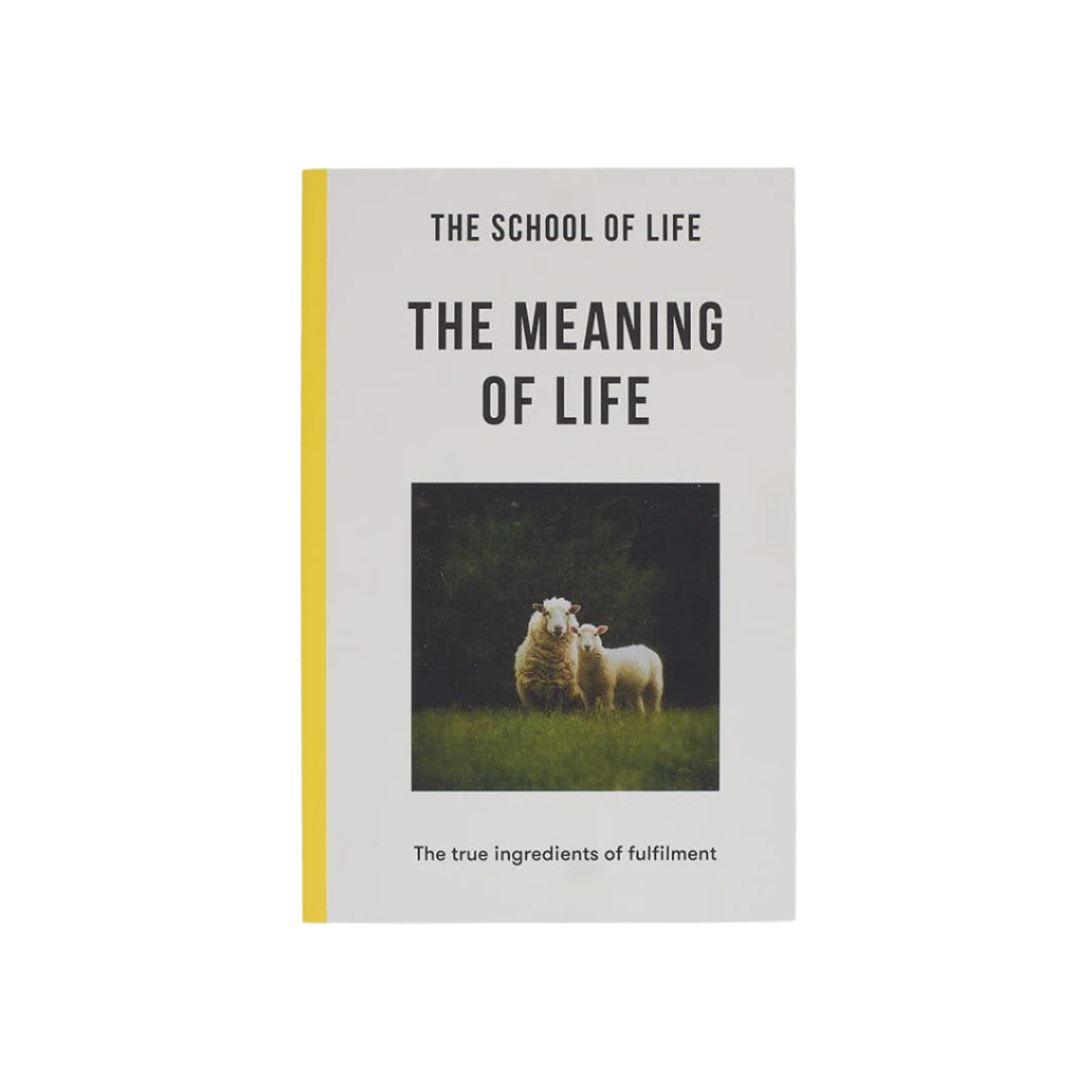 The Meaning of Life Book