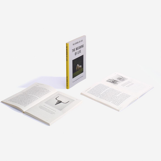 The Meaning of Life Book