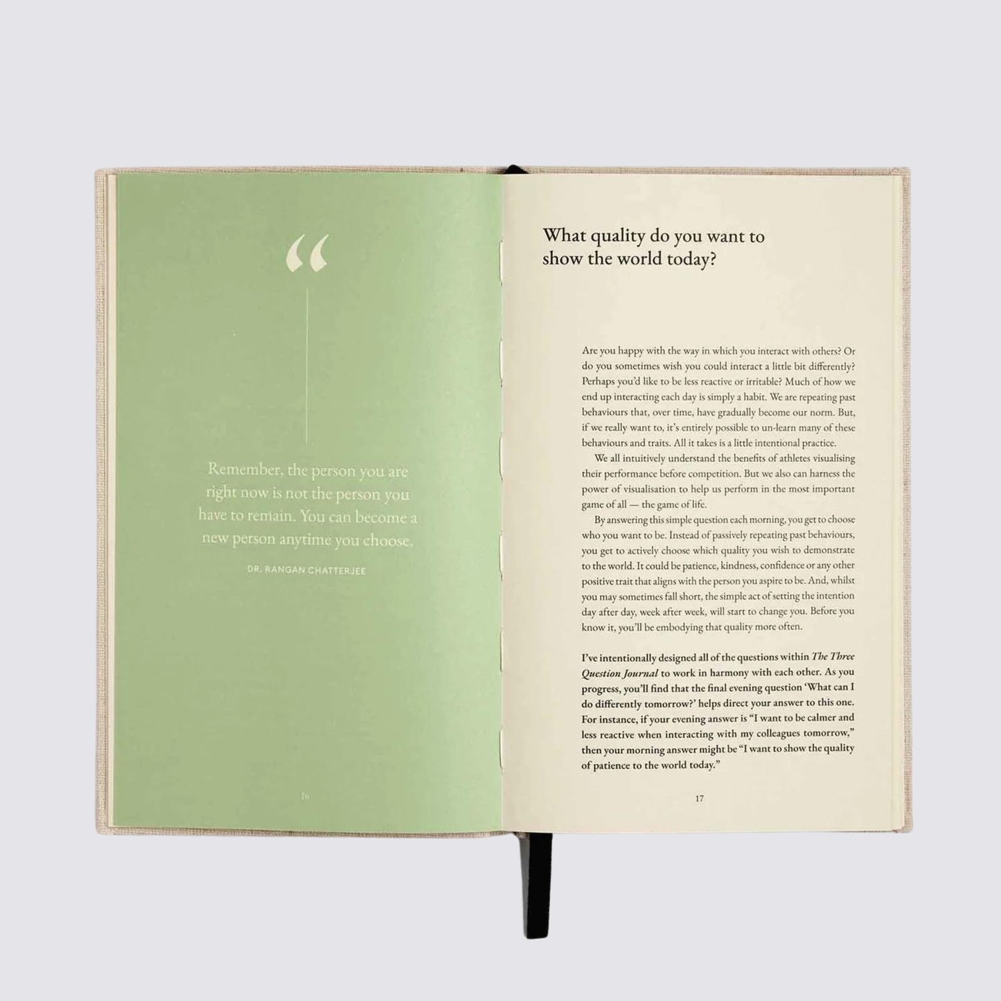Three Question Journal