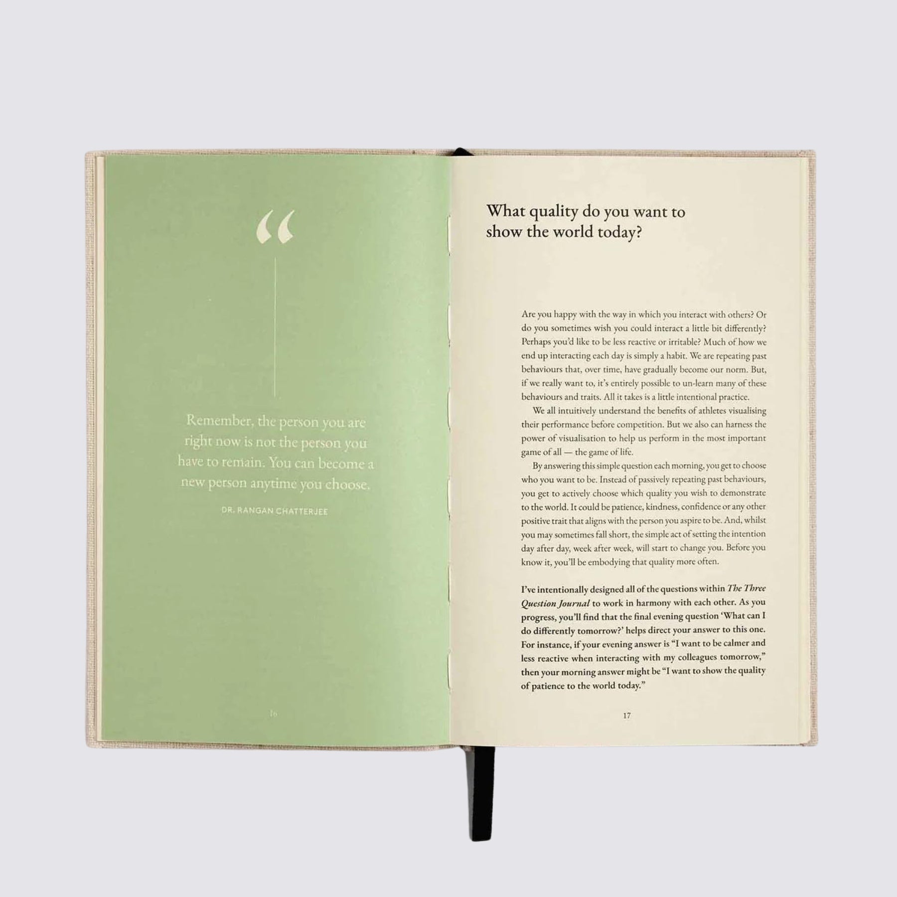 The Three Question Journal - Green