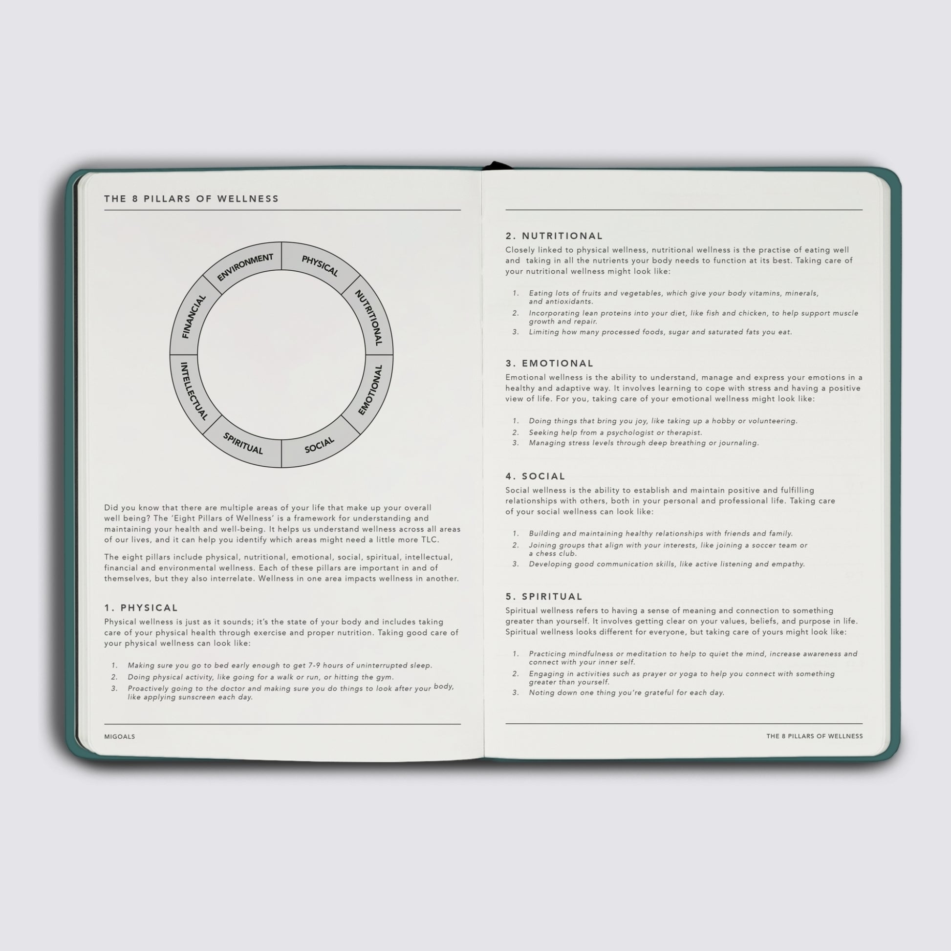 Wellness Journal - Teal