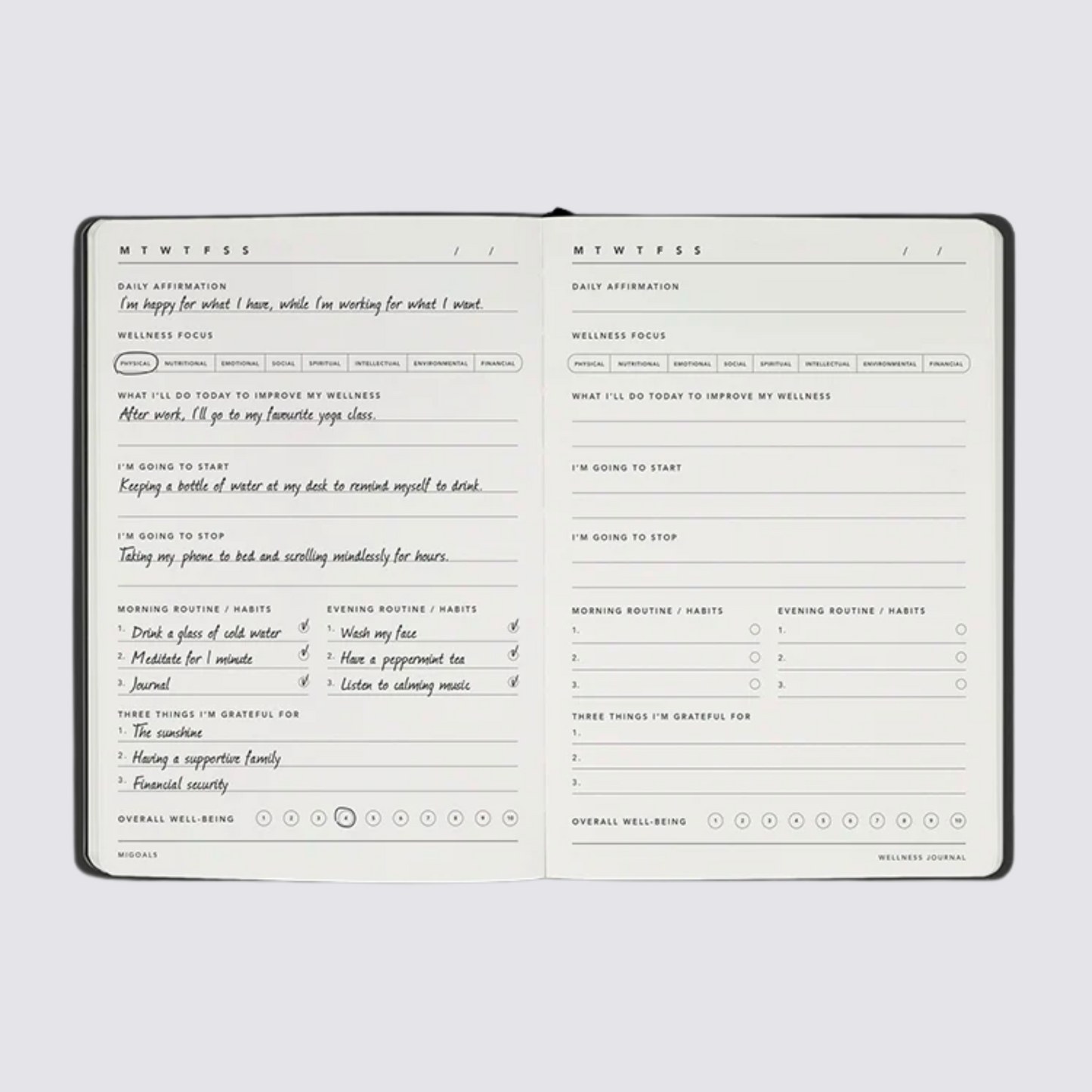 wellness journal