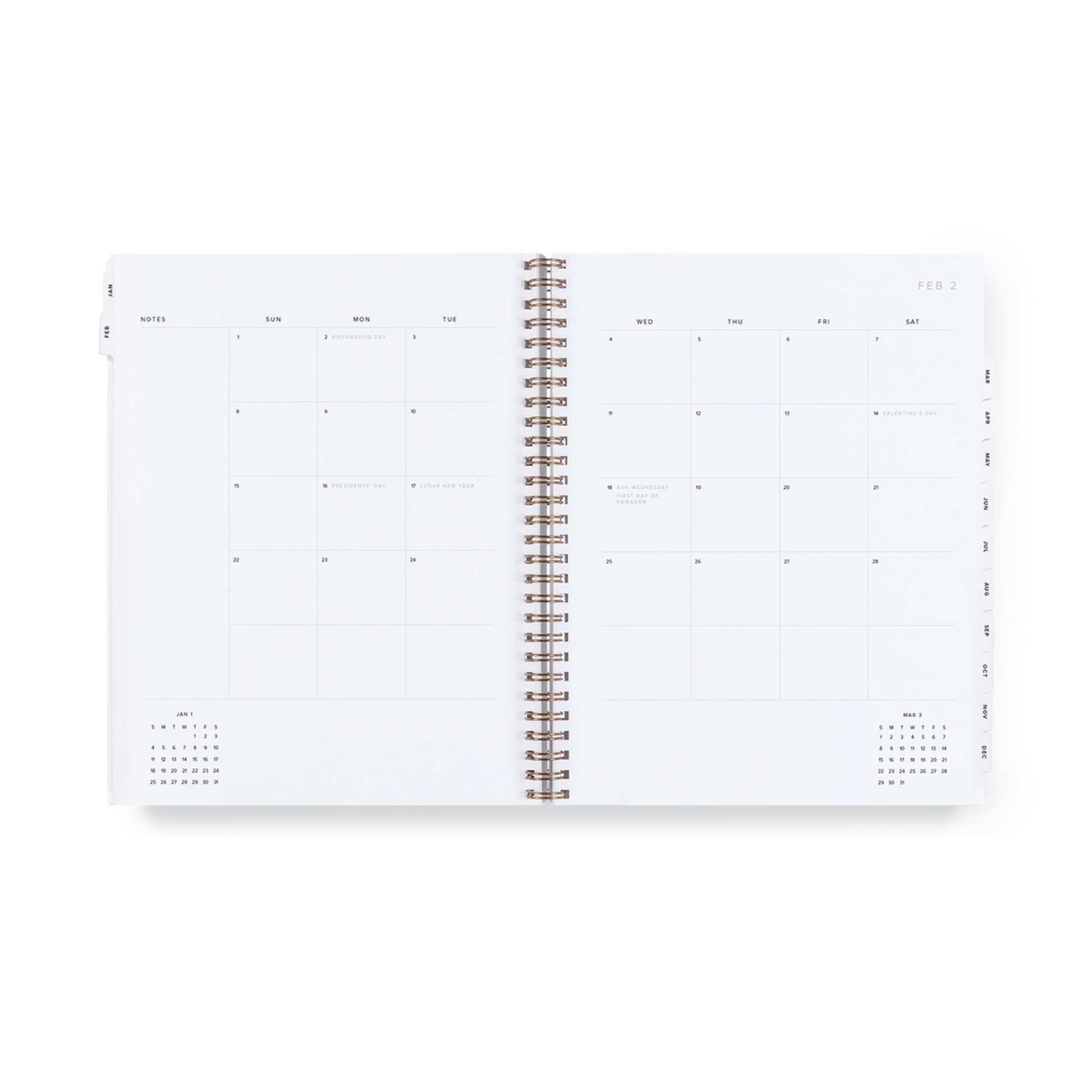 2026 Year Task Planner - Fern Green