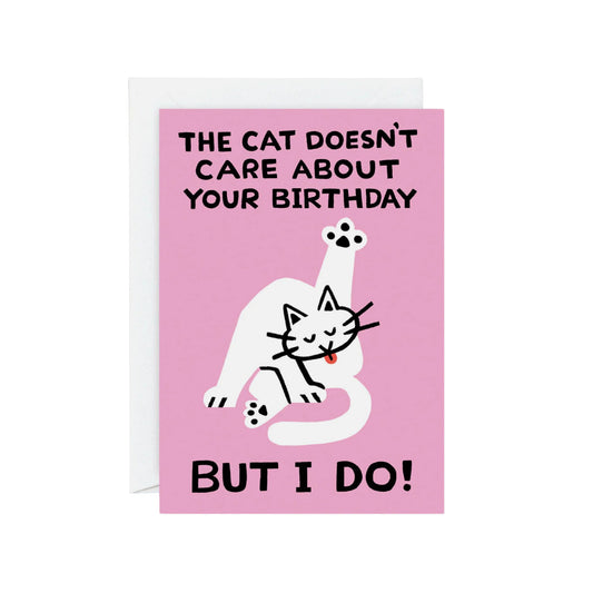 The Cat Doesn't Care Birthday Card