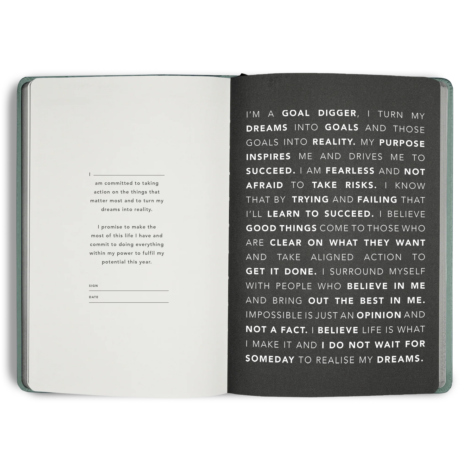 2026 Goal Digger Diary - Classic / Element Blue