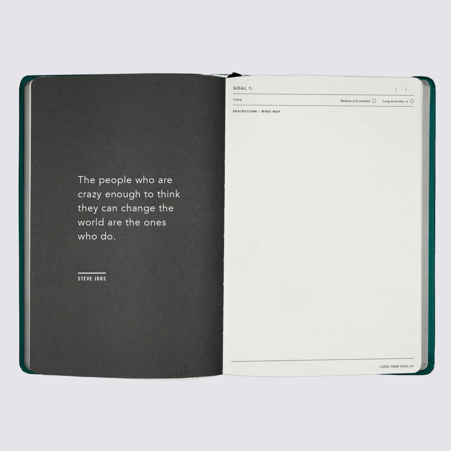 Goal planning 2024 diary
