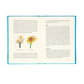 illustrated parenting book