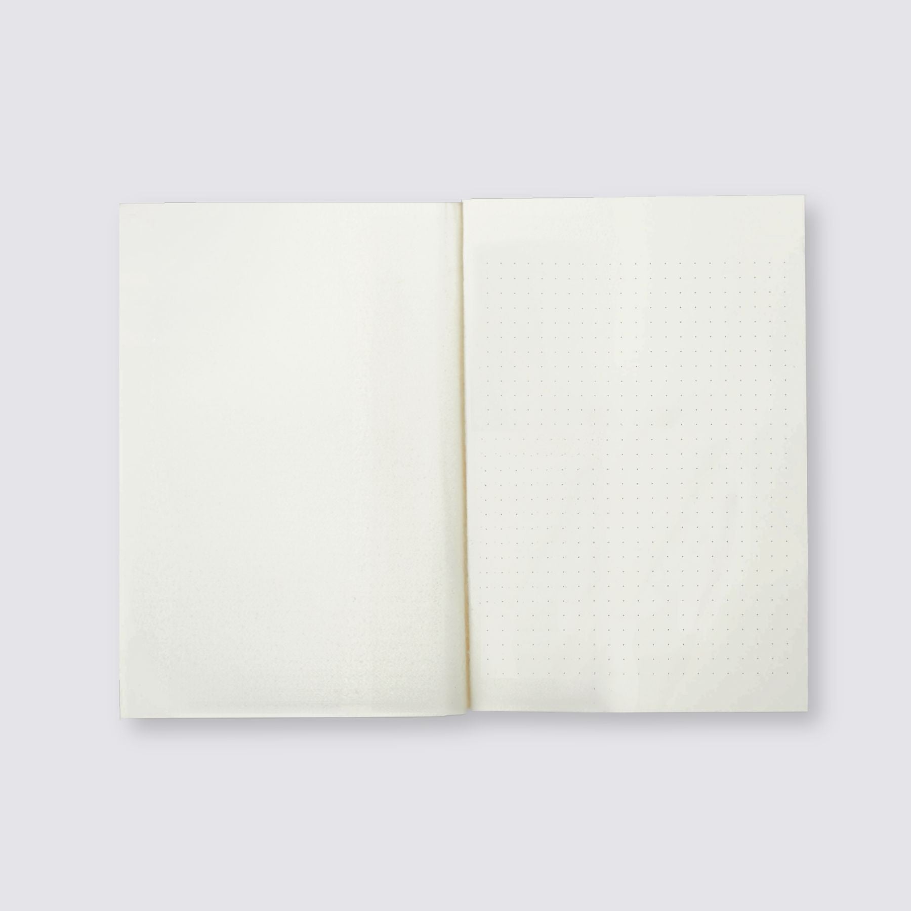Greige Graph A5 Notebook - Dot Grid and Plain
