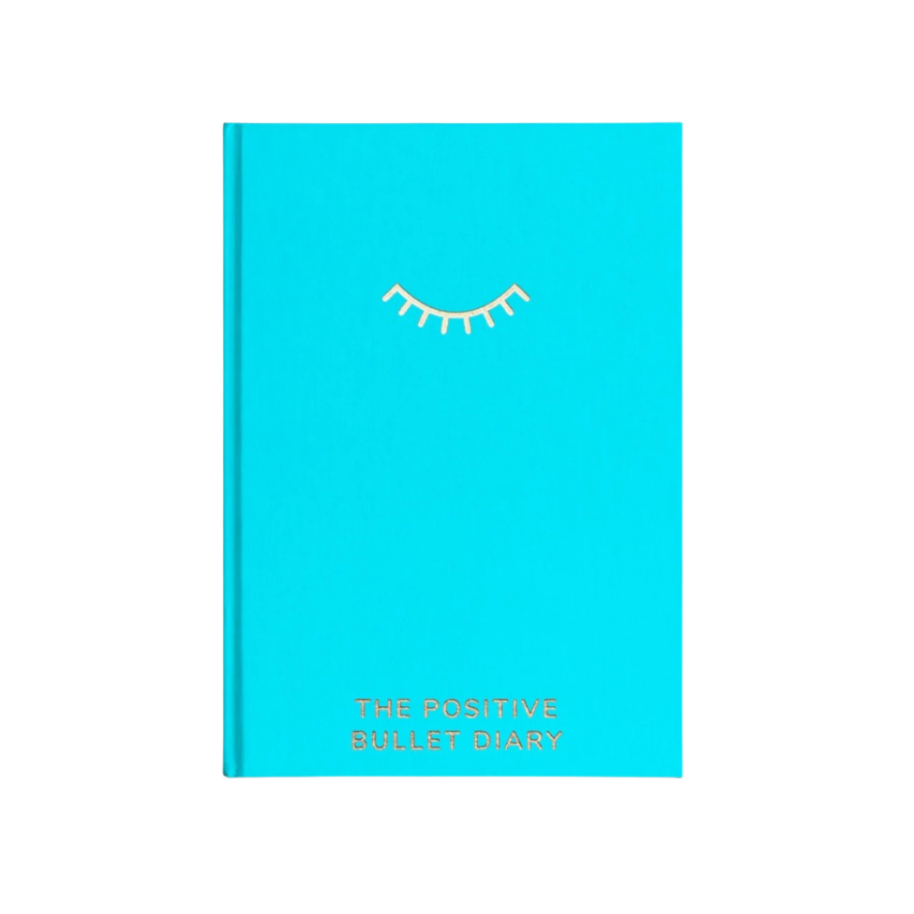 The Positive Bullet Diary