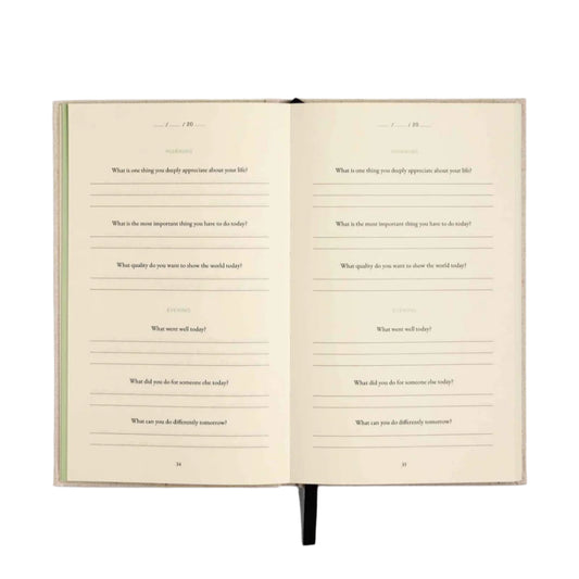 The Three Question Journal - Oat