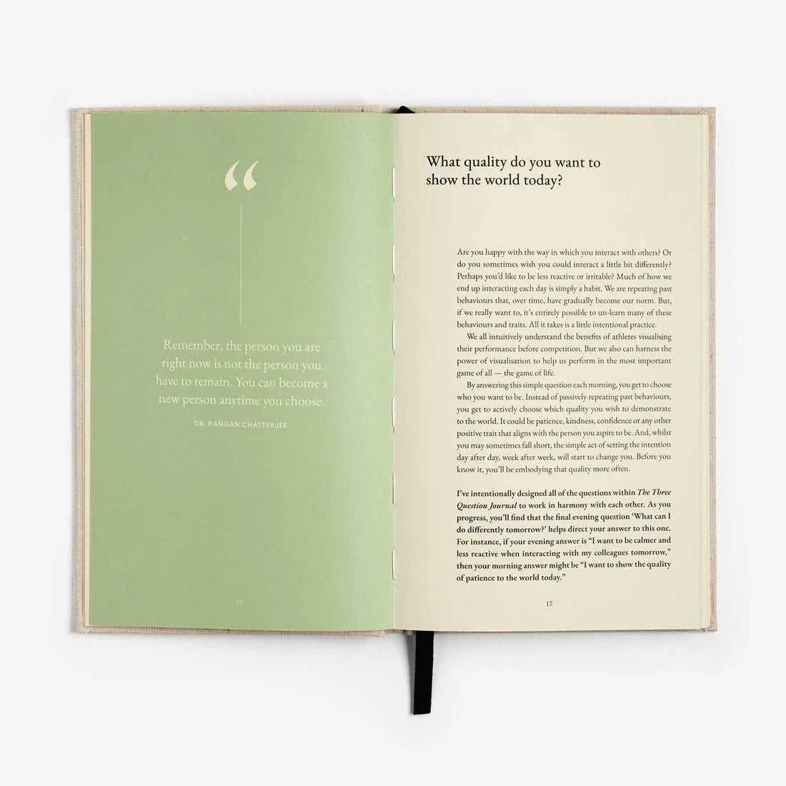 The Three Question Journal - Oat