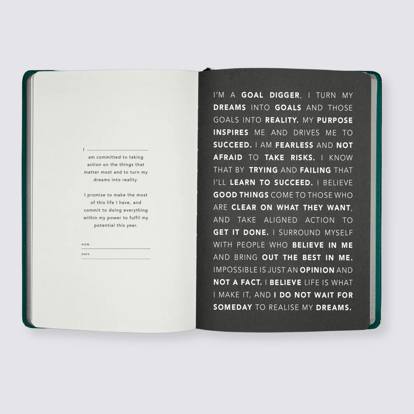 Goal planner diary 2024