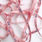 Pink Graphic Ribbon