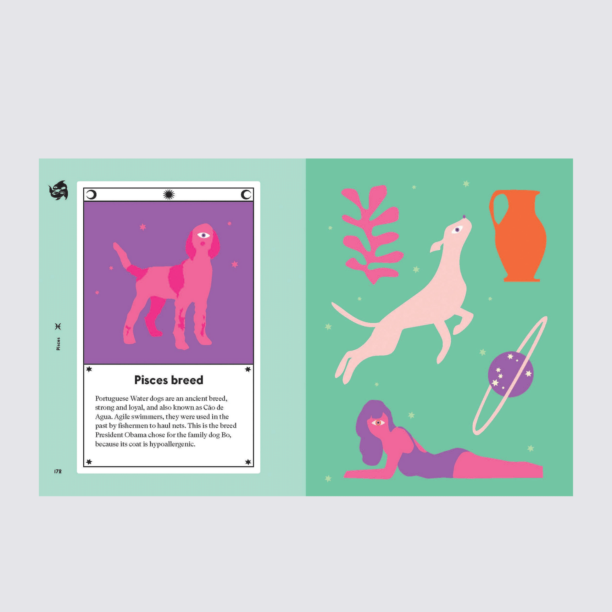 Dog Astrology
