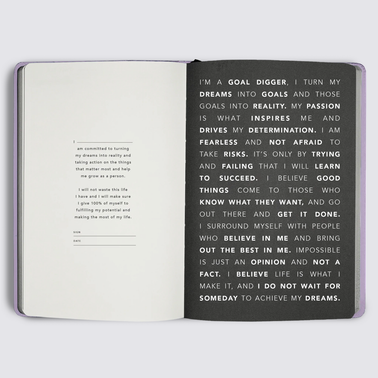 2023 Goal Digger Diary - Classic / Lilac