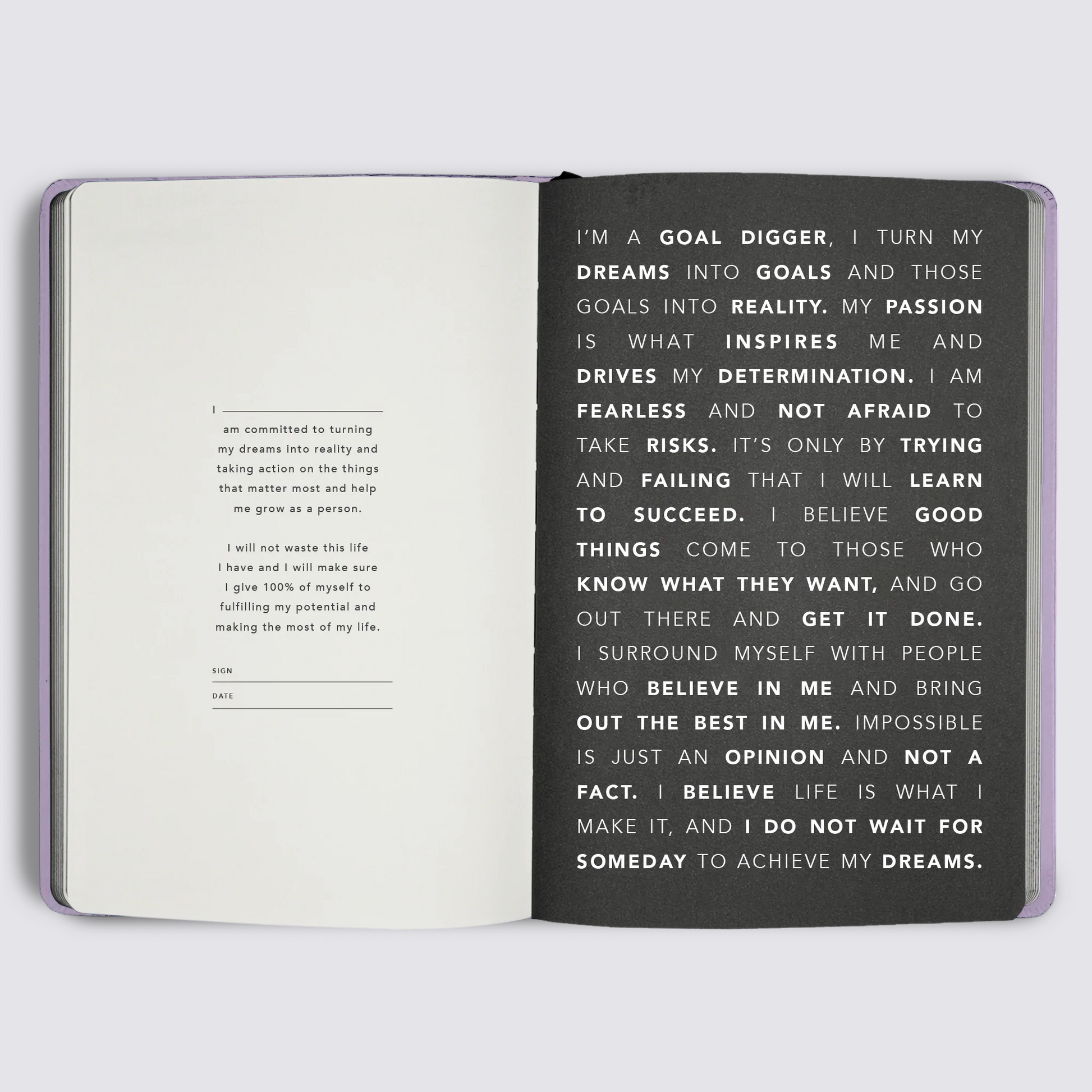 2023 Goal Digger Diary - Classic / Lilac