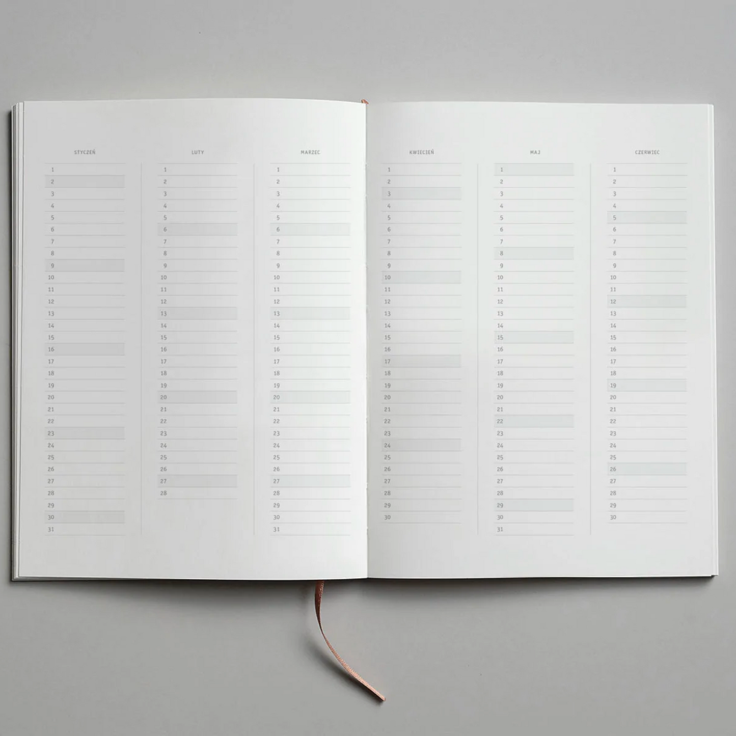 2023 Klasyk Diary - Toffee