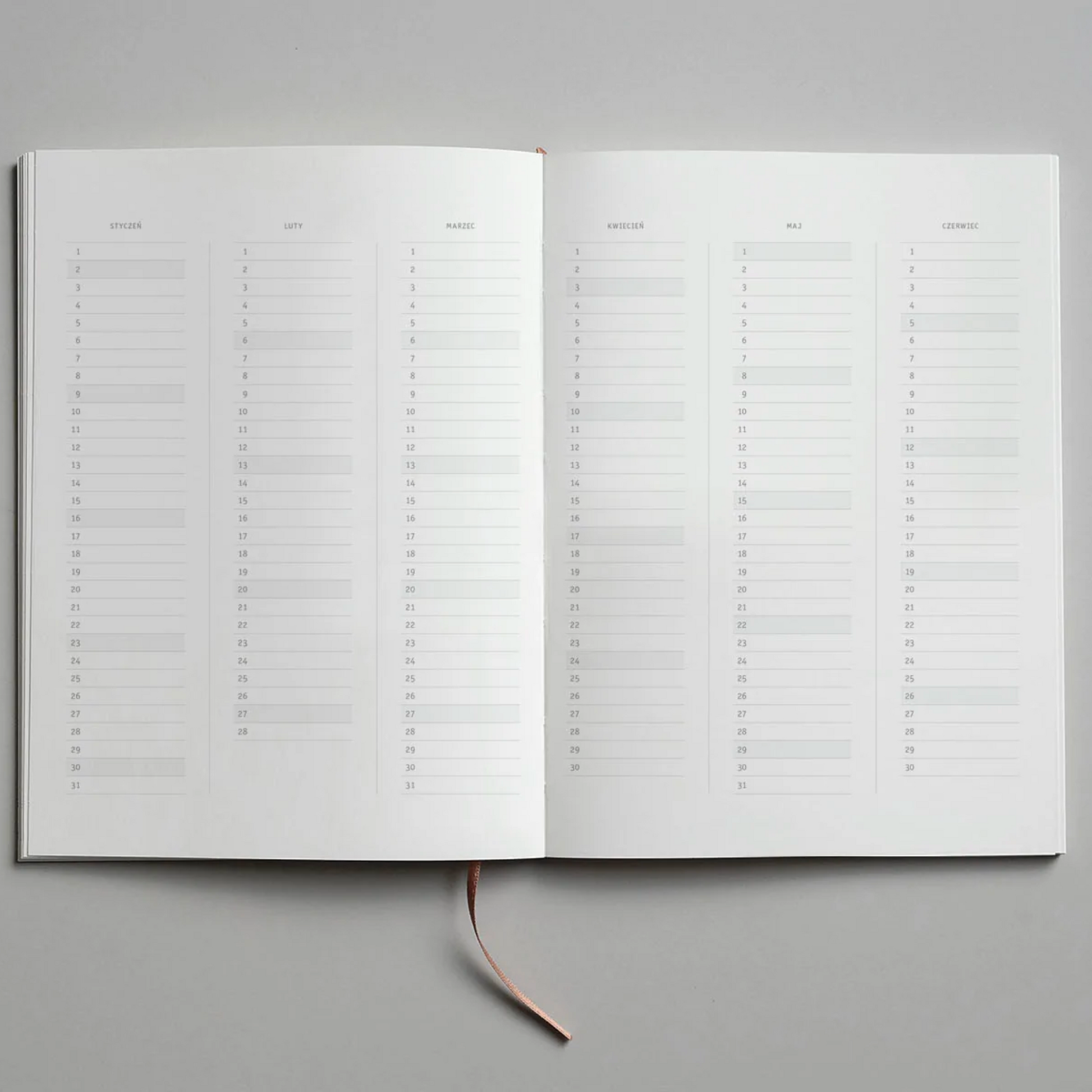 2023 Klasyk Diary - Toffee