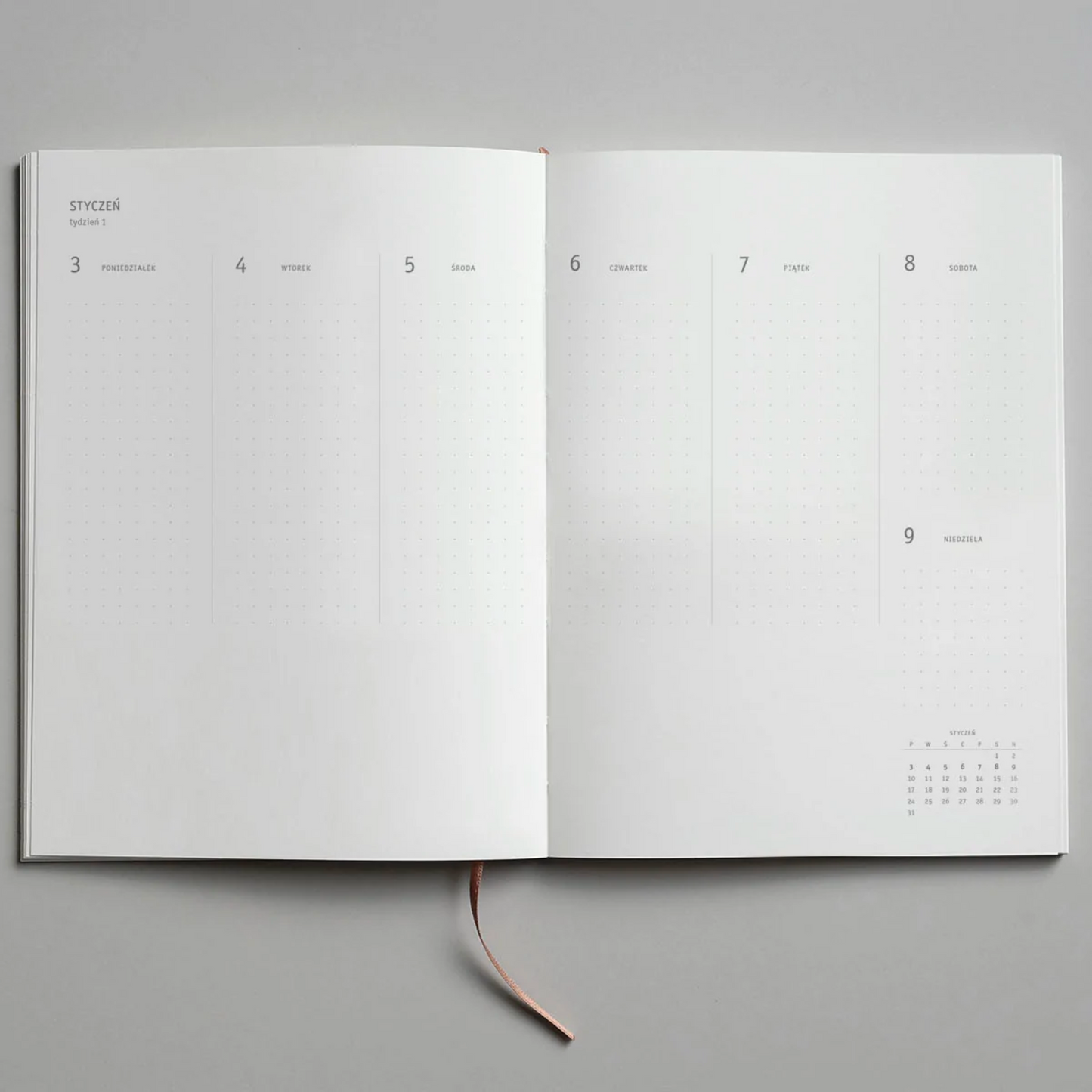 2023 Klasyk Diary - Toffee