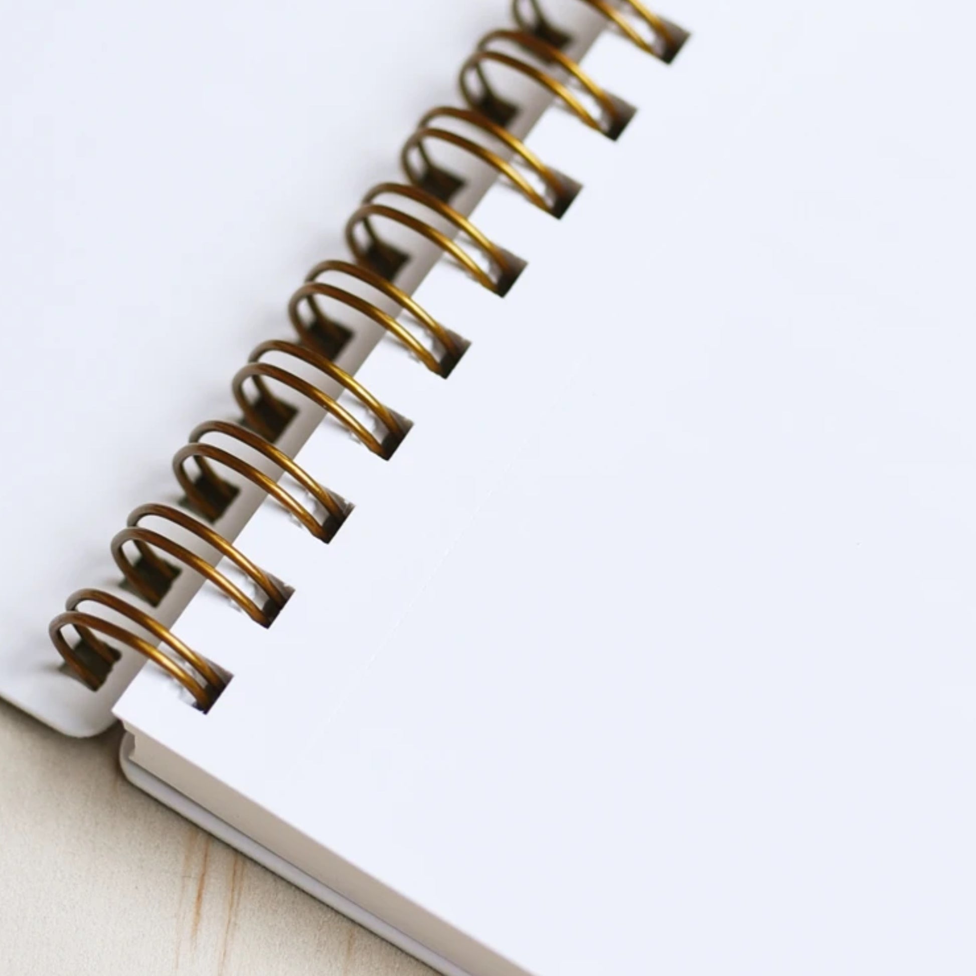 Notebook in Hunter Green - B5