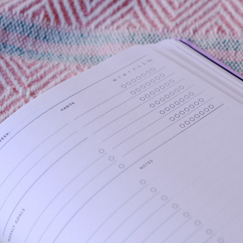 2023 Goal Digger Diary - Classic / Lilac