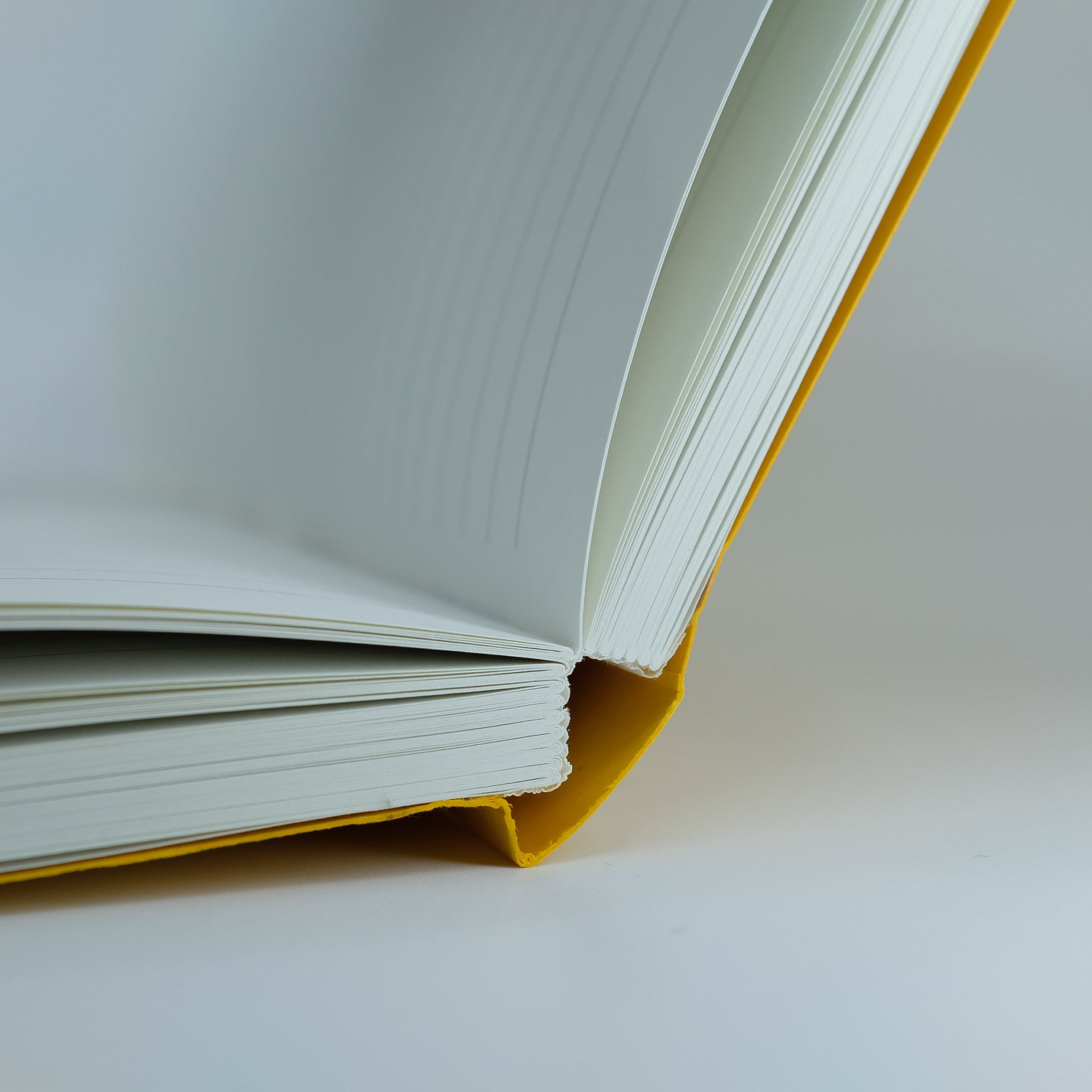 Yolk Notebook