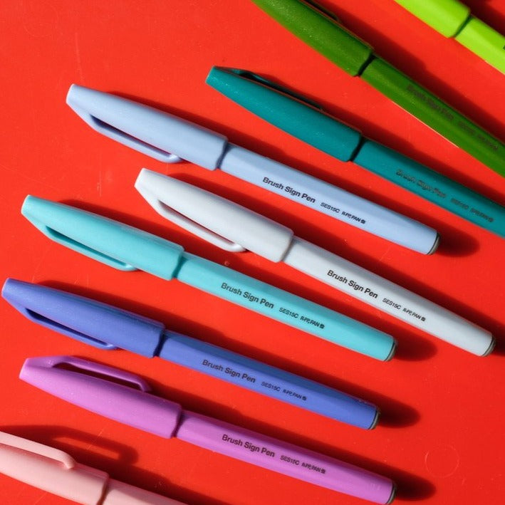 Multi Coloured Brush Sign Pens