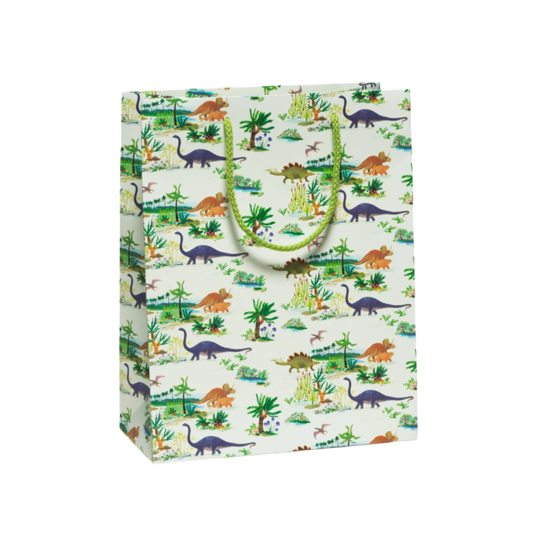 Dinosaurs Gift Bag - Large